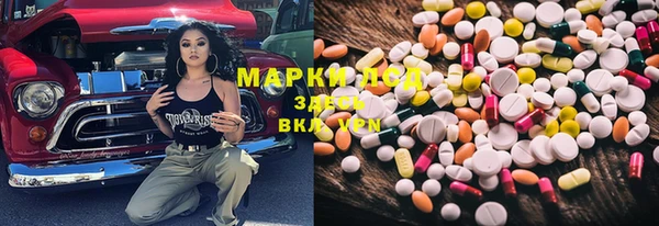 PSILOCYBIN Горно-Алтайск