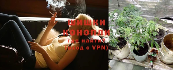 PSILOCYBIN Горно-Алтайск
